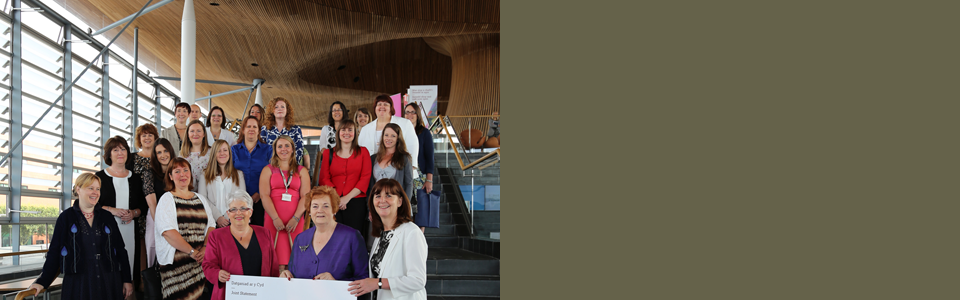 Group of women at National Assembly for Wales